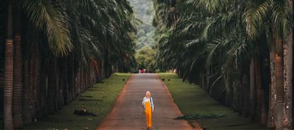 Peradeniya Botanical Garden