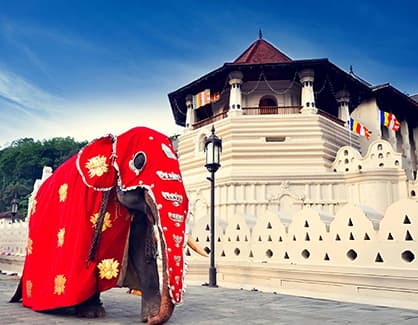 Kandy City Tour