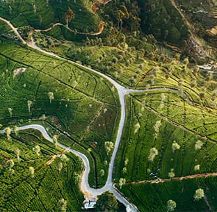 Kandy to Nuwaraeliya